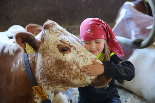 © Katri Karvinen. Ystävyys. Jos lehmät puhuisivat -näyttelystä