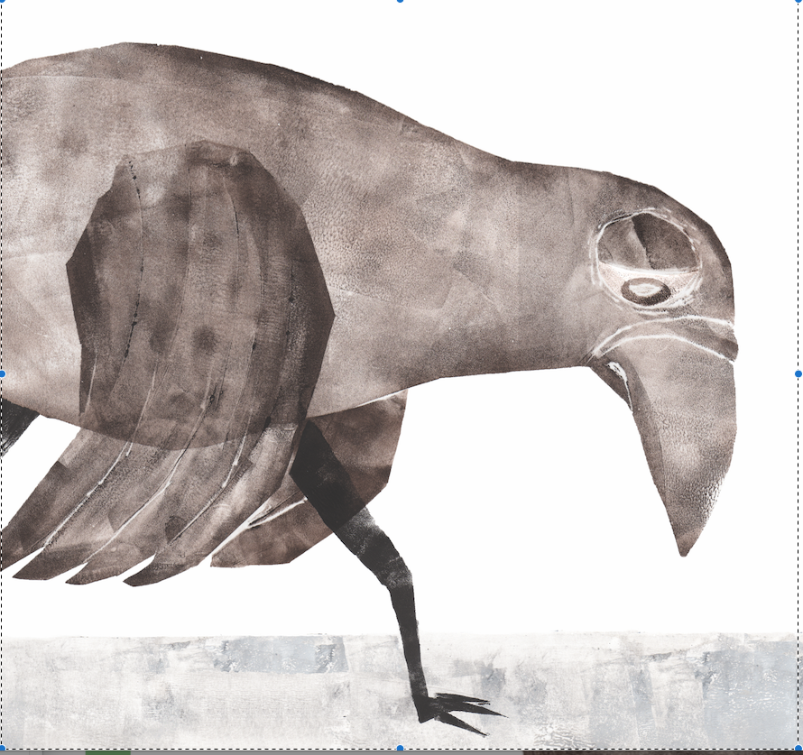 Reetu, the giant bird. Award-winning wordless story. Silent book.