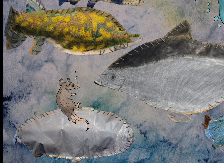 A Journey of Discovery to Wirmo. A Wordless Picture Book