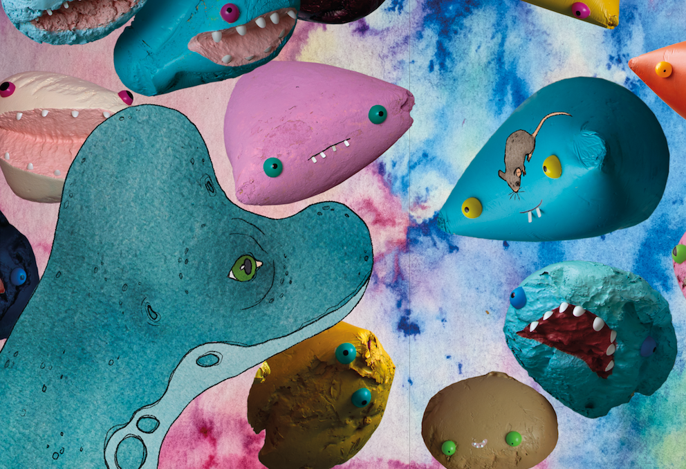 A Journey of Discovery to Wirmo. A Wordless Picture Book