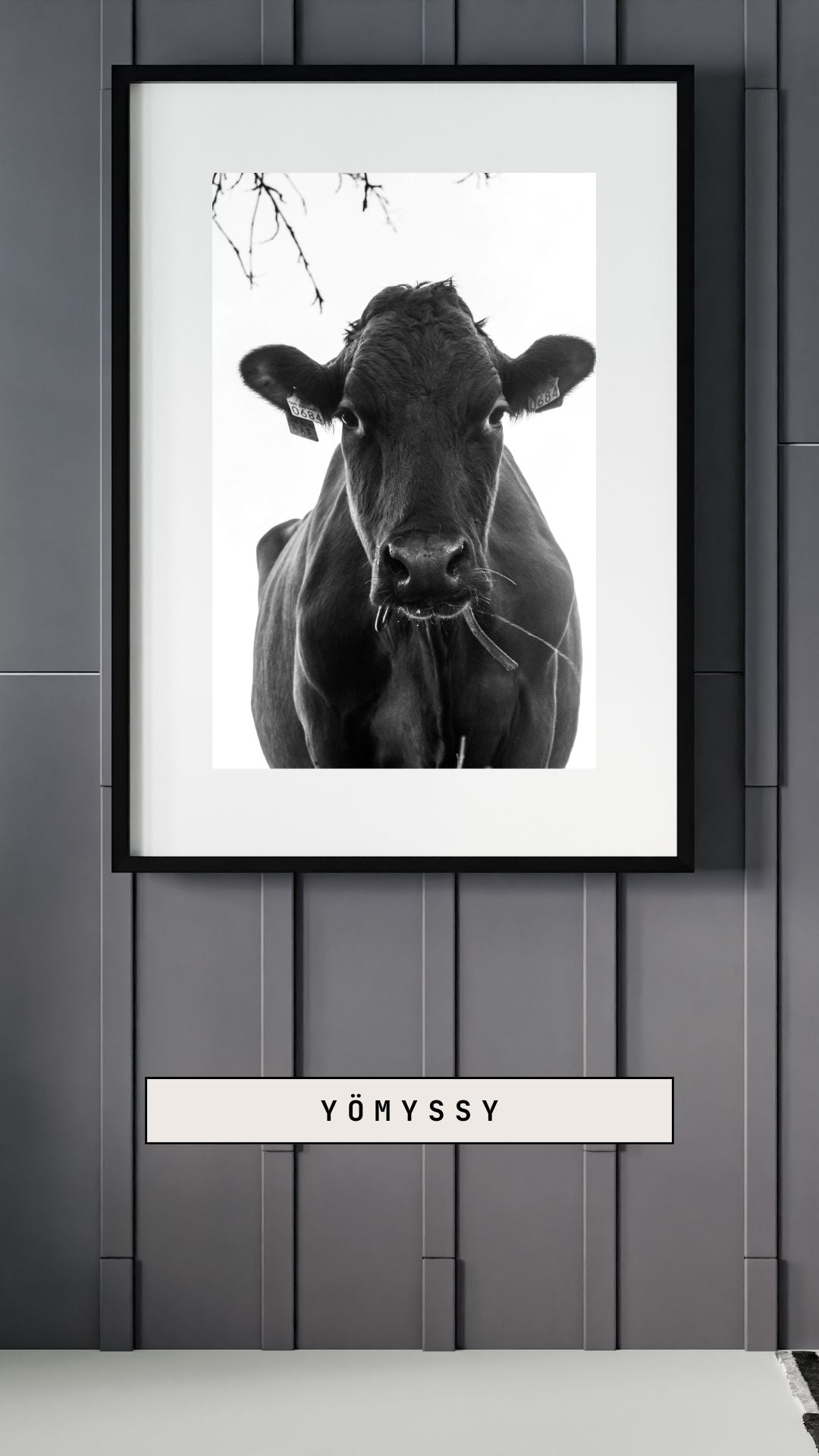 Cow poster. Vertical image. Size 40 x 60 cm. 4 image motifs to choose from