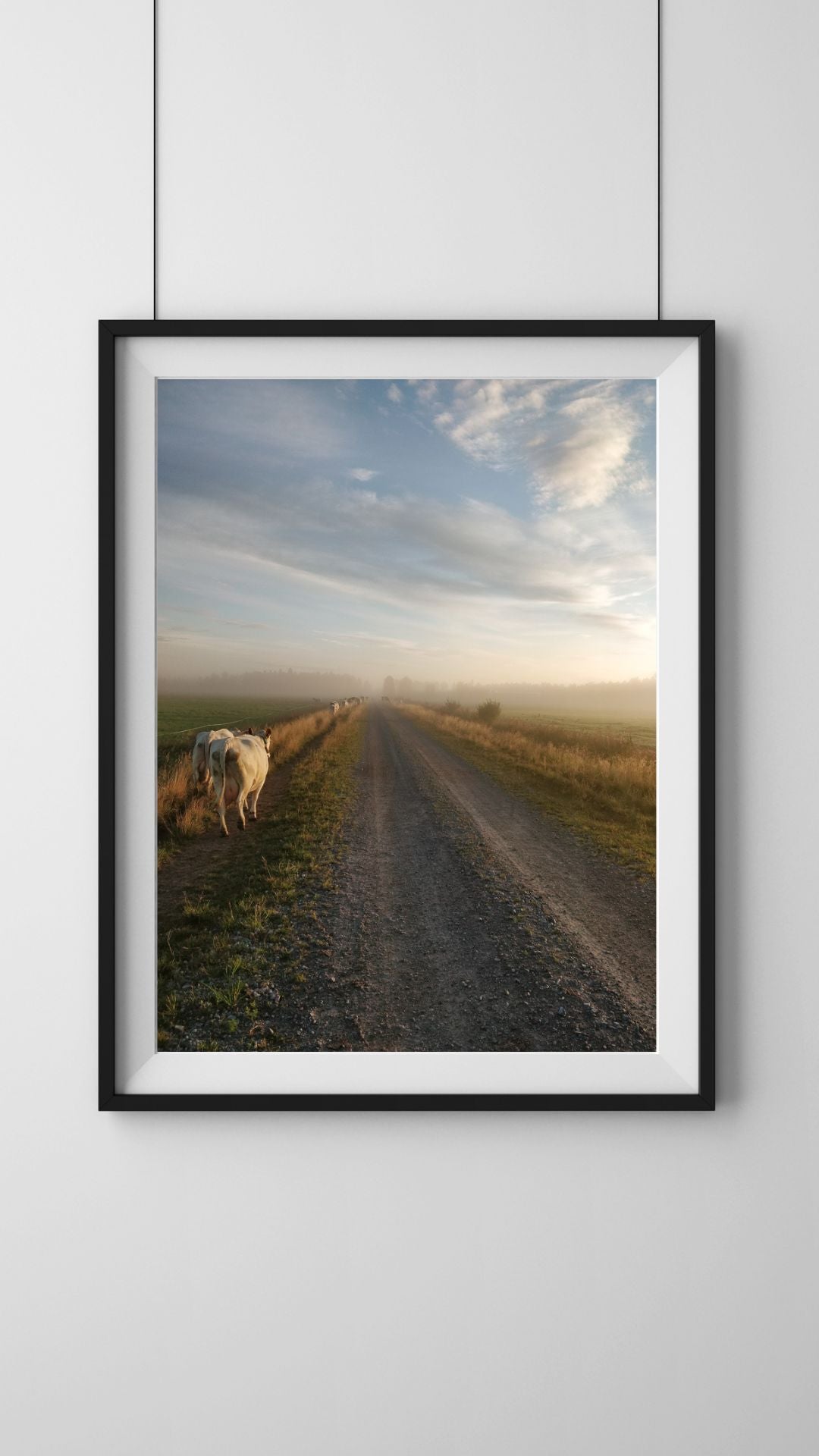For morning milking, cow poster