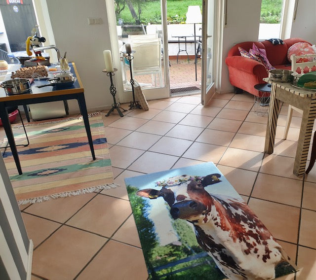 A moment of happiness, a cow rug