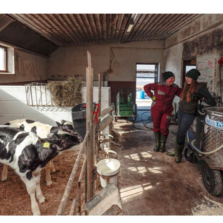 Irina and Nailon Piit – A Surprising Day on the Dairy Farm. Children's Nonfiction Book
