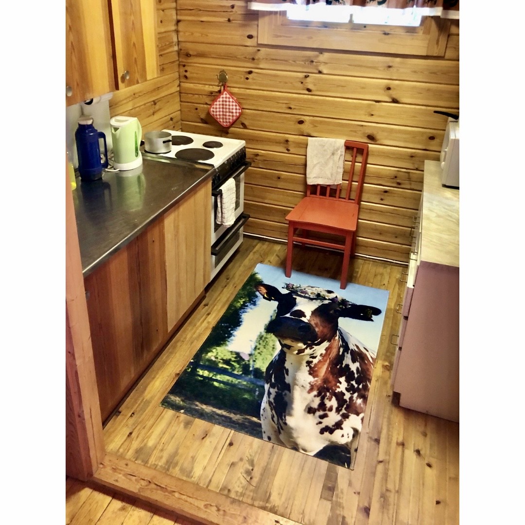A moment of happiness, a cow rug