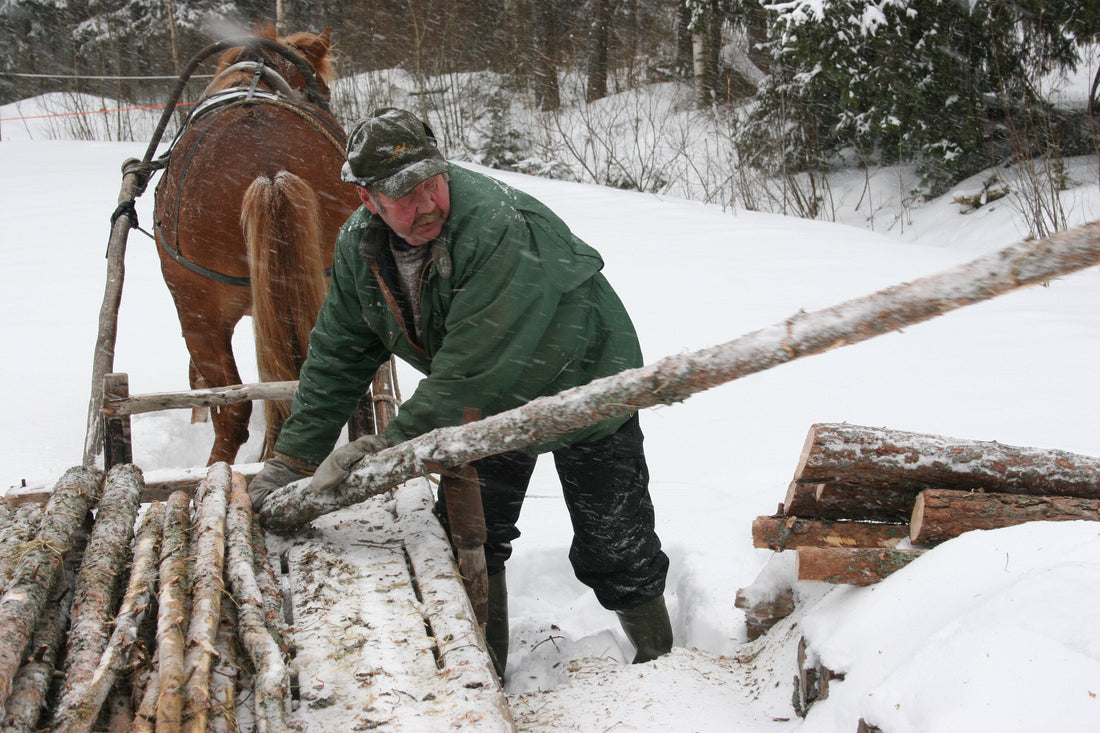 Eläinten parissa -valokuvakilpailu.  Kuvia voi lähettää 23.2. asti